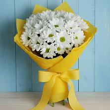 Букет цветов из:  Хризантемы в Октябрьский Белгородской области
