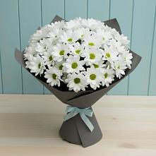 Букет цветов из:  Хризантемы #REPLACE_PRED# Октябрьский Белгородской области