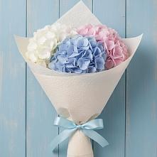 Букет цветов из:  Гортензия в Октябрьский Белгородской области