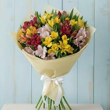 Букет цветов из:  Альстромерии в Октябрьский Белгородской области
