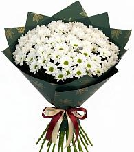 Букет цветов из:  Хризантемы в Октябрьский Белгородской области
