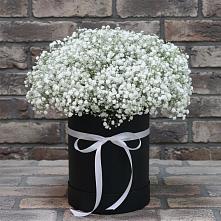 Цветочная композиция из Гипсофила в шляпной коробке в Октябрьский Белгородской области
