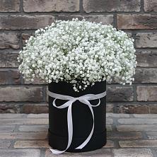 Цветочная композиция из Гипсофила в шляпной коробке в Октябрьский Белгородской области