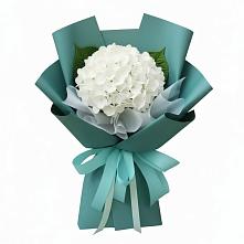 Букет цветов из:  Гортензия в Октябрьский Белгородской области
